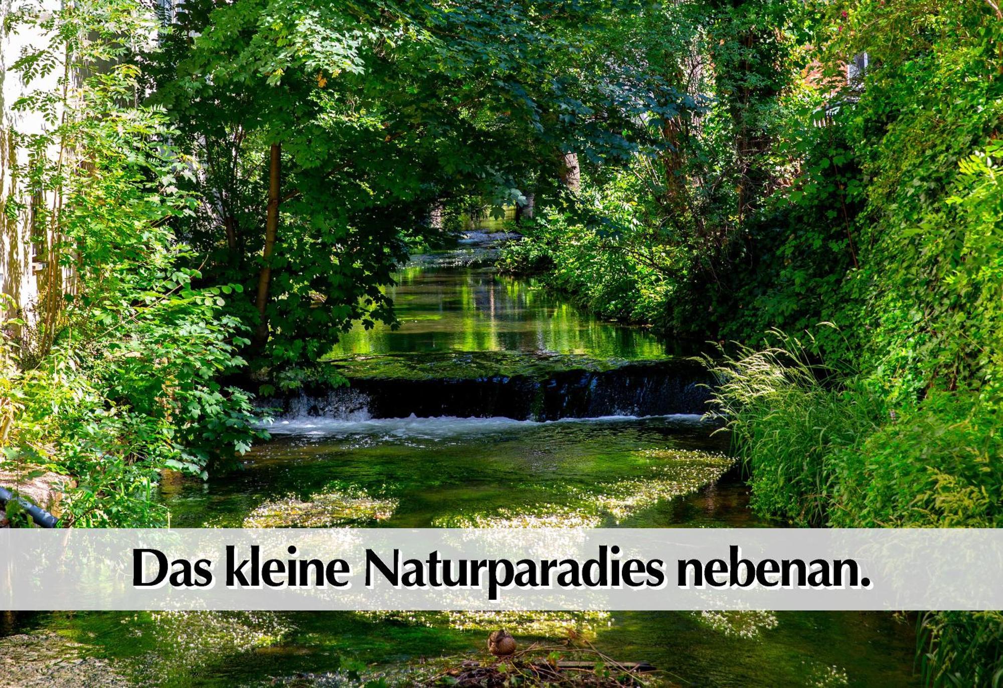 ארפורט Stadtperle Am Plaetschernden Wasser - 50M2 2R Malerische Fewo In Top Lage מראה חיצוני תמונה